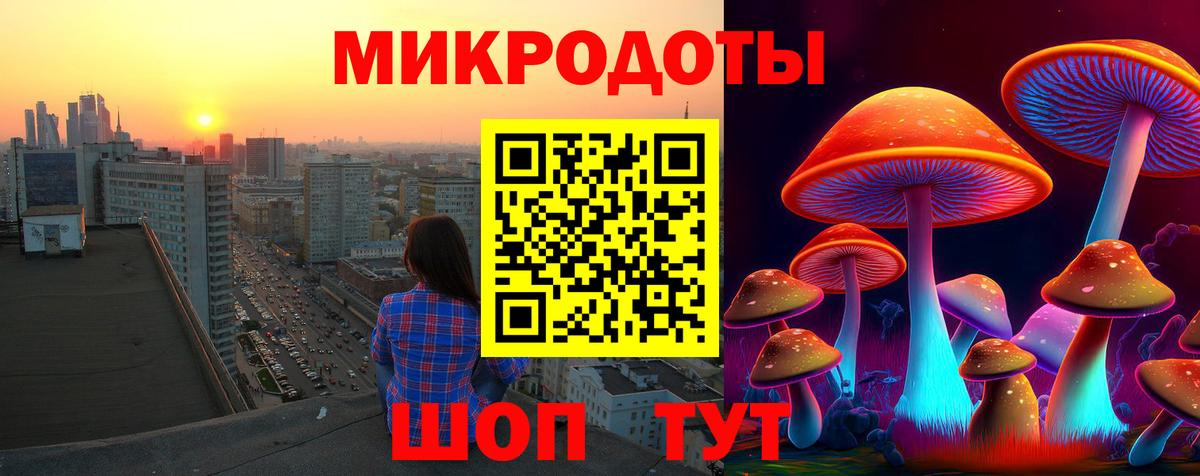 Галлюциногенные грибы прущие грибы  Галлюциногенные грибы прущие грибы  Вход с VPN  Арзамас 